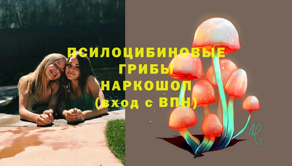 экстази Алексин
