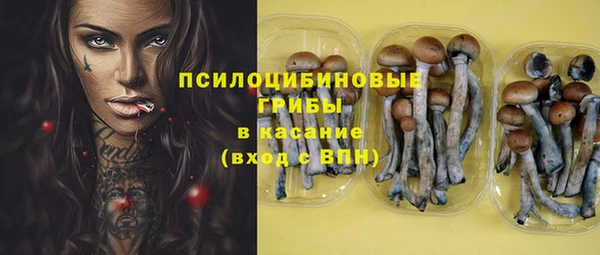 спайс Аркадак