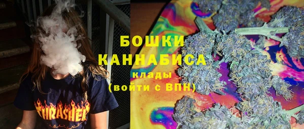 ПСИЛОЦИБИНОВЫЕ ГРИБЫ Иннополис