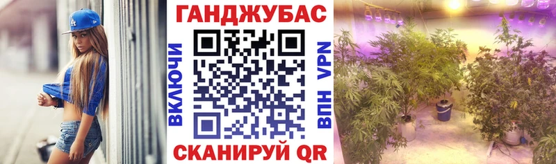 Бошки марихуана сатива  omg ТОР  Ачхой-Мартан 